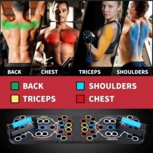 Push up board muscle targeting guide for back, chest, triceps, and shoulders